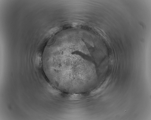 X0000112750527200909031529