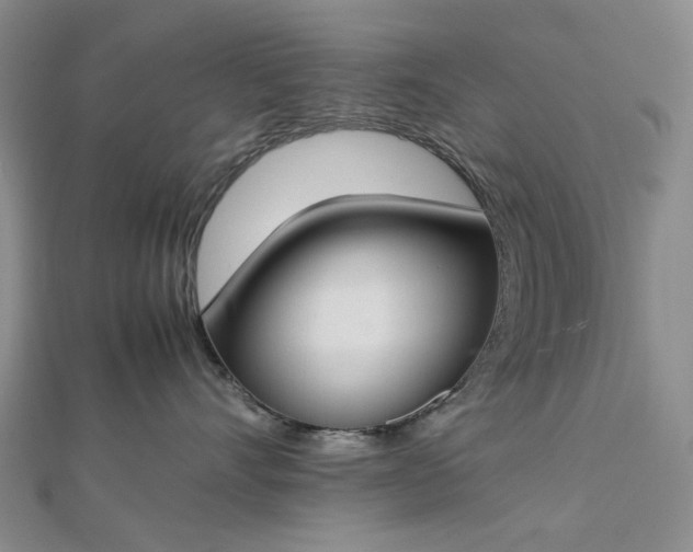 X0000112750528200909031529