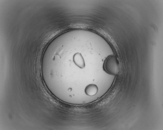 X0000112750529200909031529