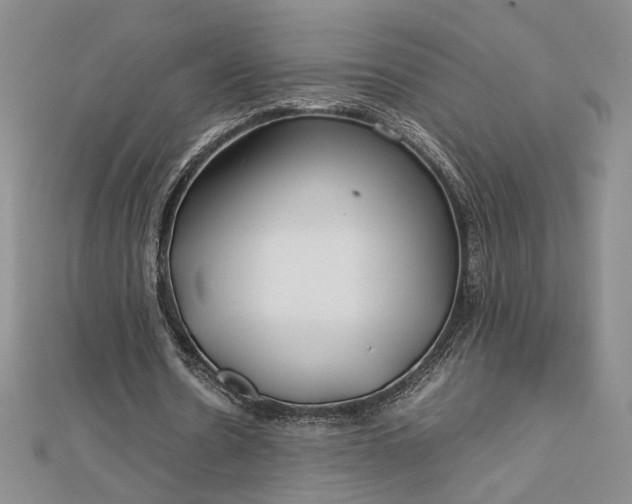 X0000112750530200909031529