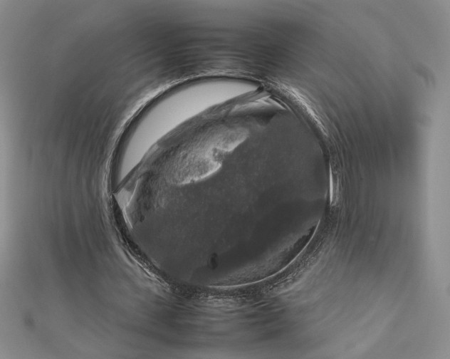 X0000112750531200909031529