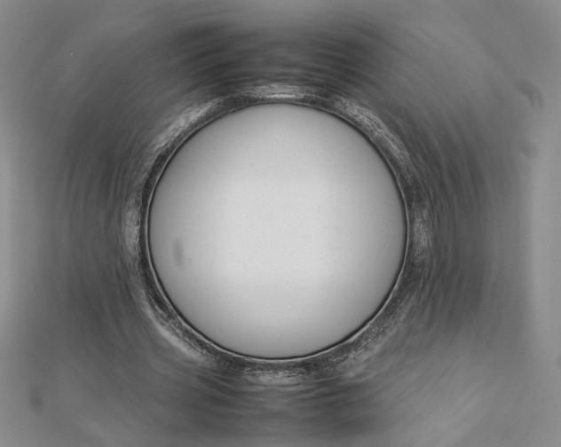 X0000112750533200909031529