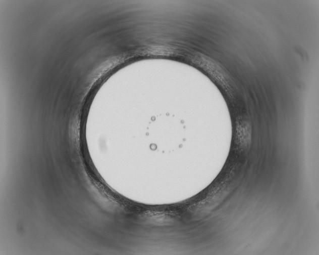 X0000112750534200909031529