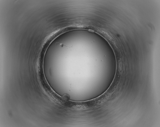 X0000112750536200909031529