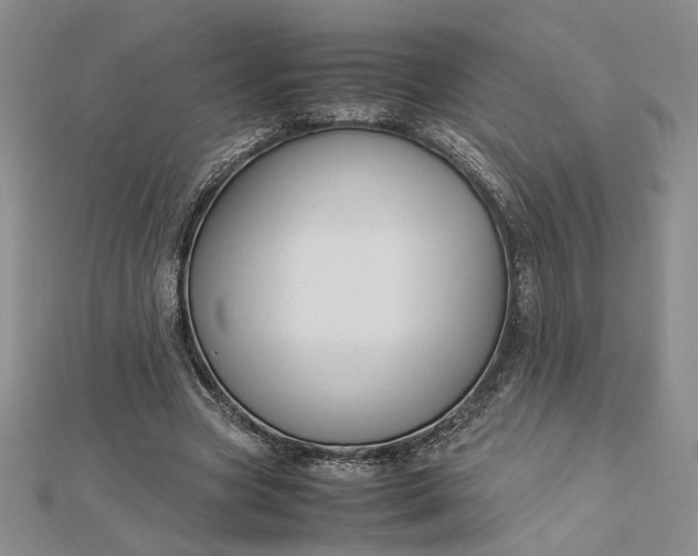 X0000112750537200909031529