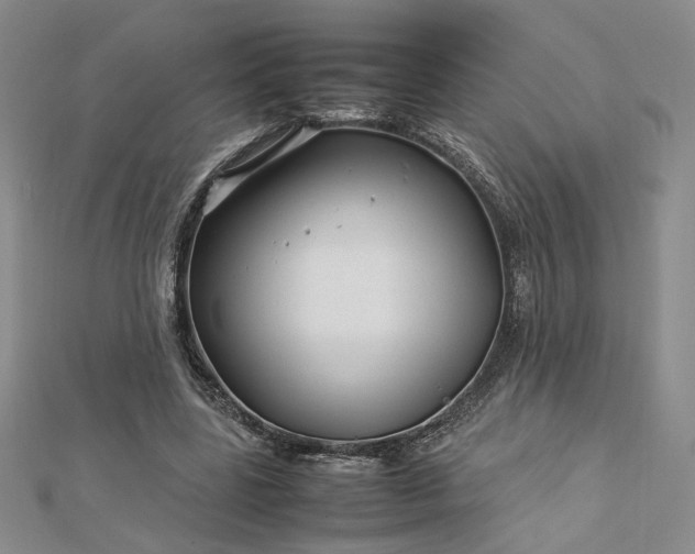 X0000112750539200909031529