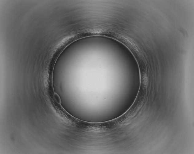 X0000112750540200909031529