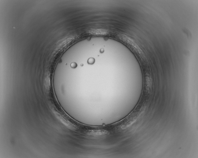 X0000112750541200909031529