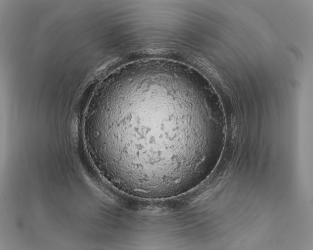 X0000112750542200909031529