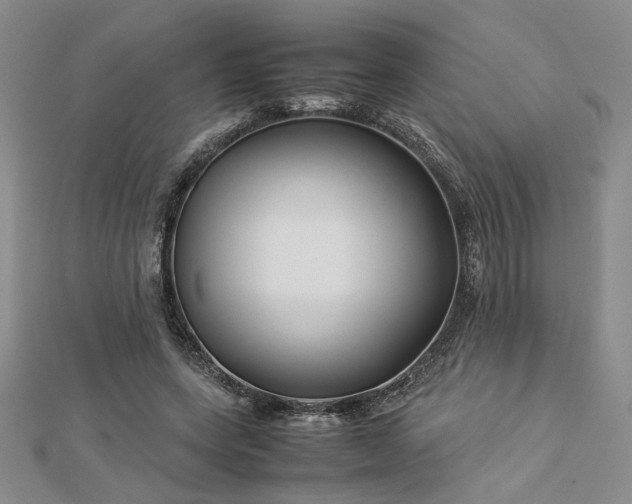 X0000112750543200909031529