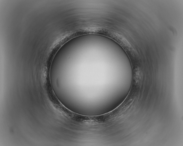 X0000112750544200909031529