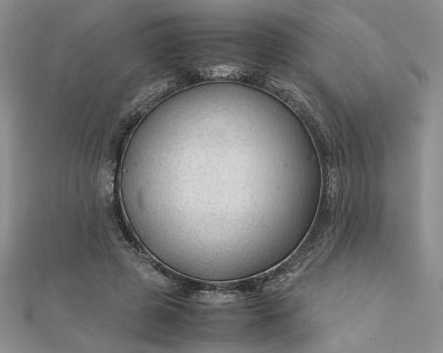 X0000112750545200909031529