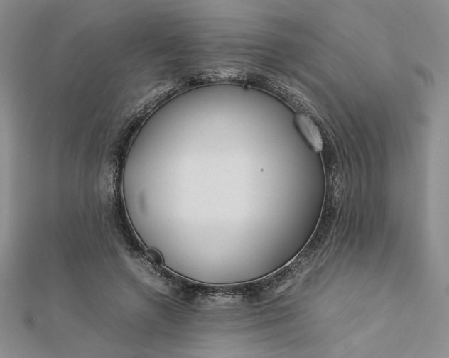 X0000112750546200909031529