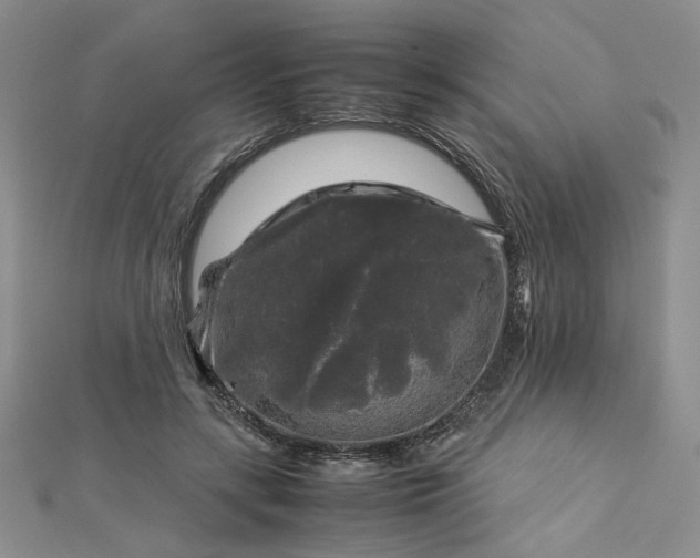 X0000112750547200909031529