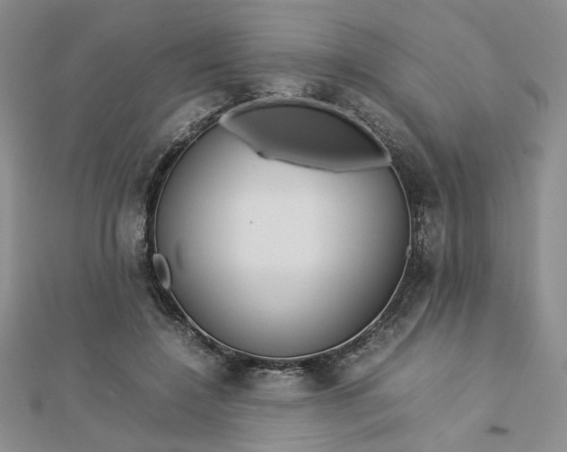 X0000112750548200909031529