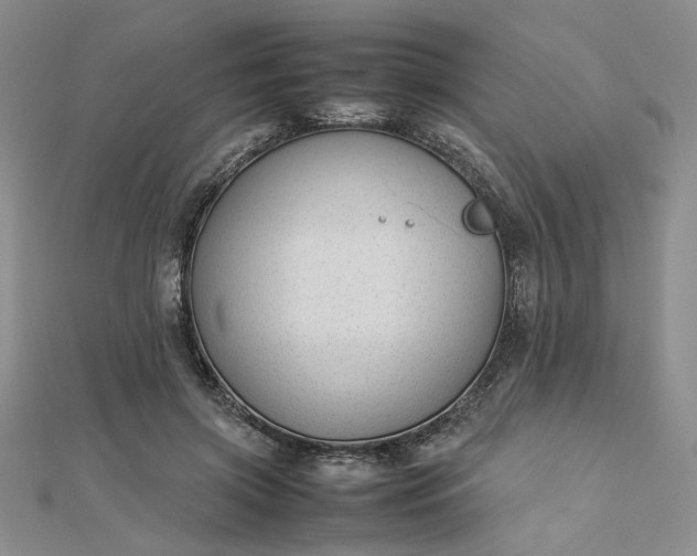 X0000112750549200909031529