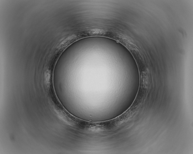 X0000112750550200909031529