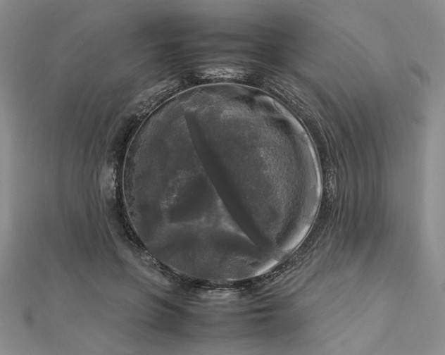 X0000112750551200909031529