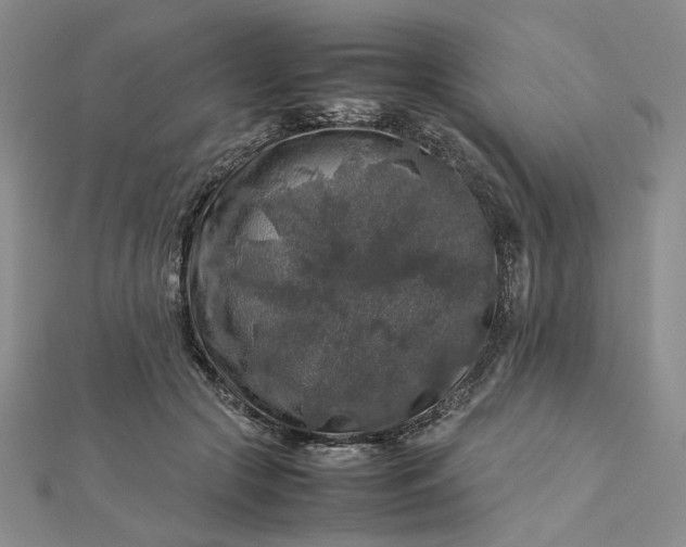 X0000112750553200909031529