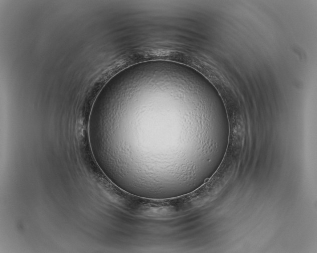 X0000112750555200909031529