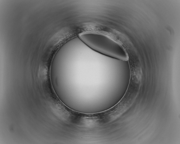 X0000112750556200909031529