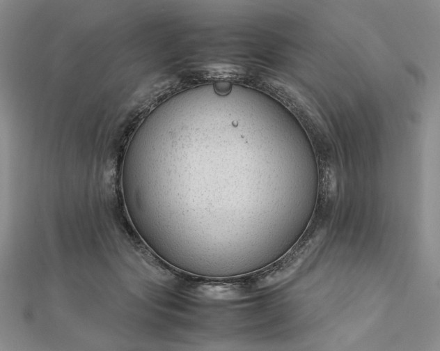 X0000112750557200909031529