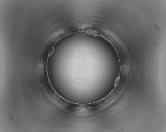 X0000112750558200909031529