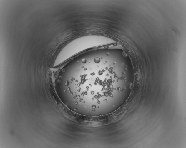 X0000112750559200909031529