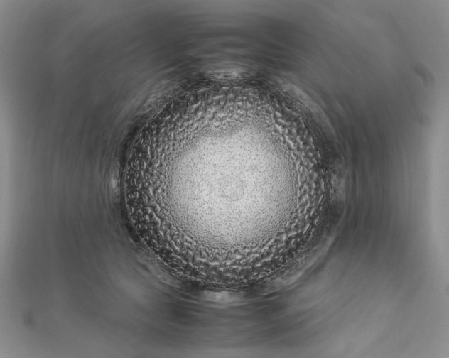 X0000112750561200909031529