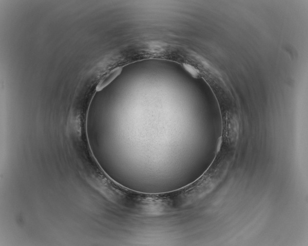 X0000112750562200909031529