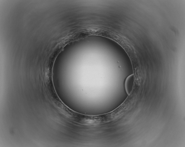 X0000112750563200909031529