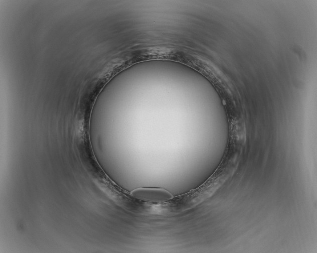 X0000112750564200909031529