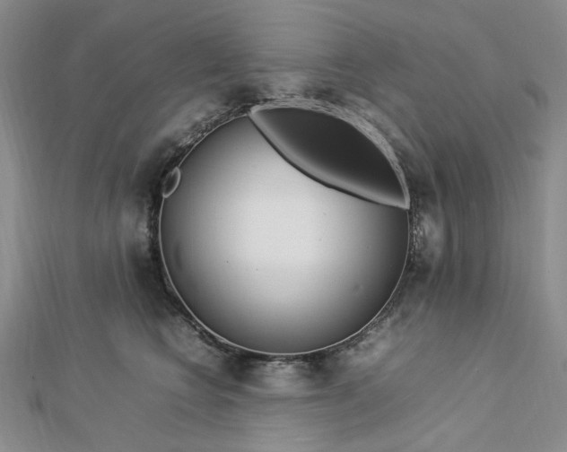 X0000112750566200909031529