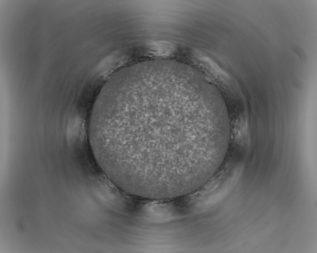 X0000112750568200909031529