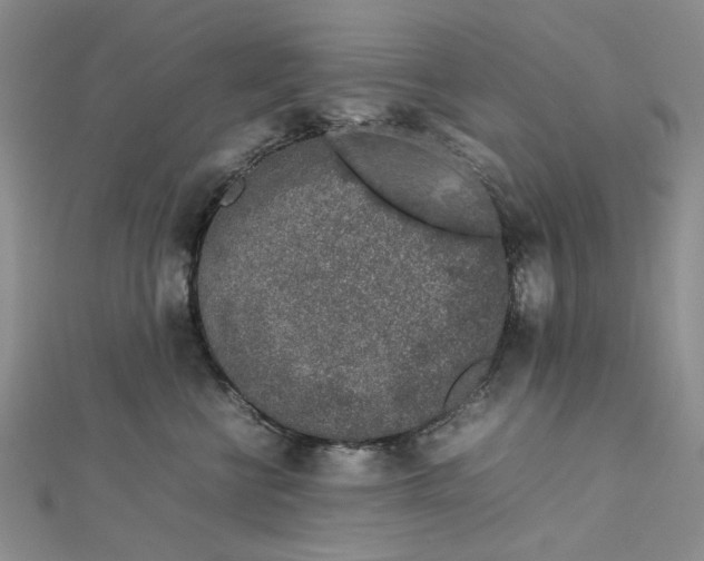 X0000112750570200909031529