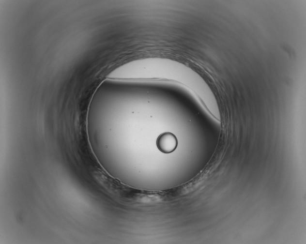 X0000112750572200909031529