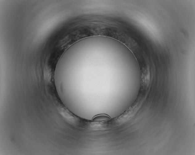 X0000112750574200909031529