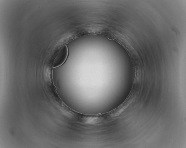 X0000112750575200909031529