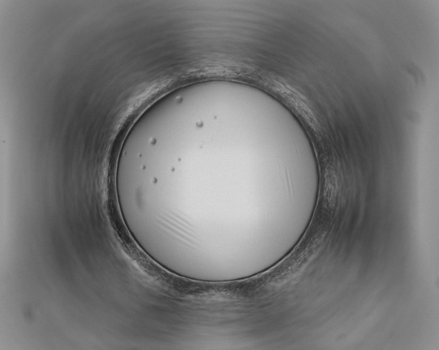 X0000112750578200909031529