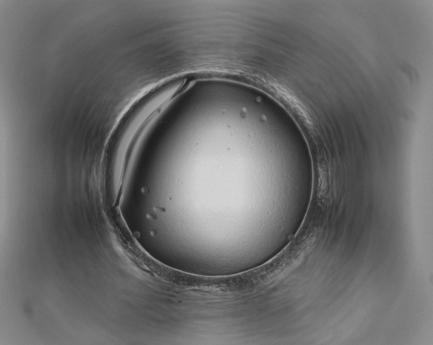 X0000112750580200909031529