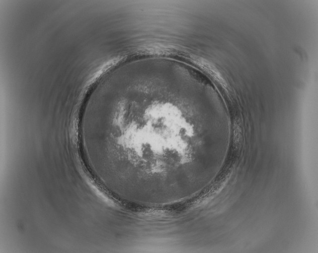 X0000112750581200909031529