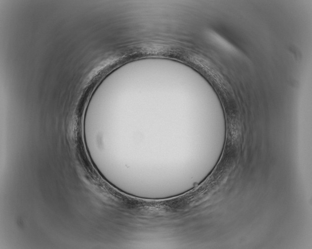 X0000112750583200909031528