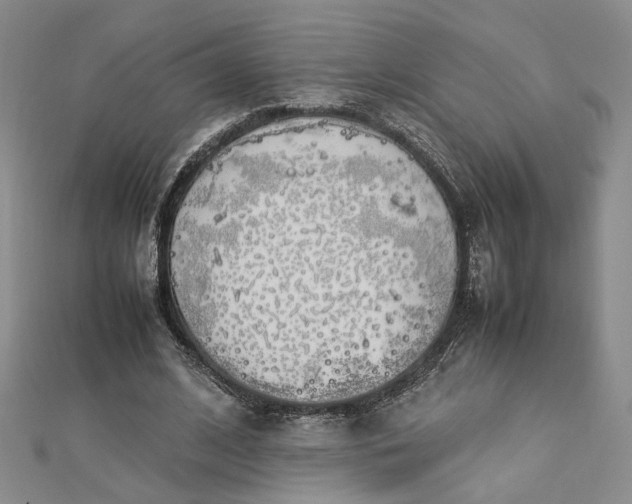 X0000112750584200909031528