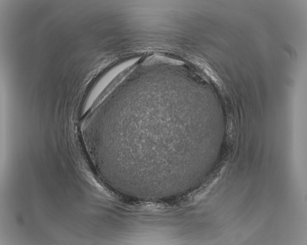 X0000112750585200909031528