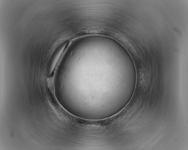 X0000112750586200909031528