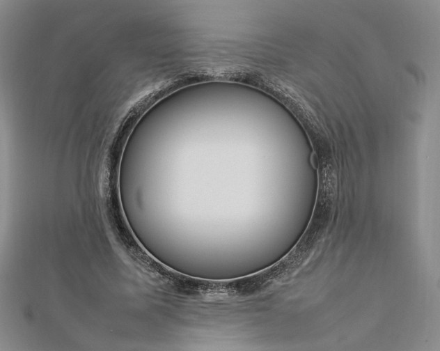 X0000112750587200909031528