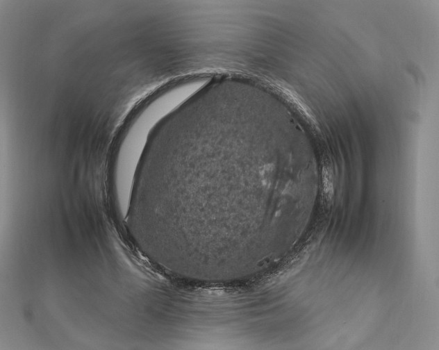 X0000112750588200909031528