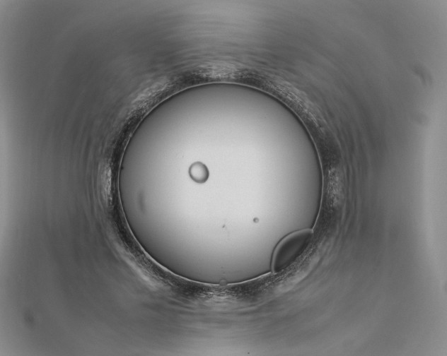 X0000112750589200909031528