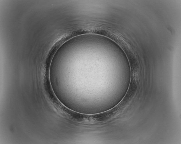 X0000112750591200909031528