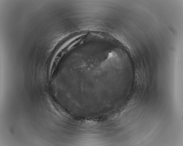 X0000112750592200909031528